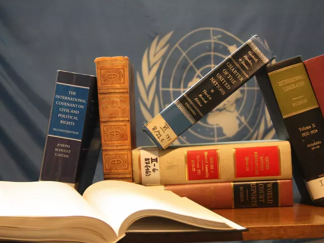 What are sources of international law?